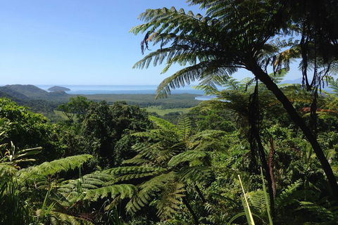 Daintree And Cape Tribulation Full Day Guided Tour - Accommodation Bookings 2
