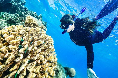 Green Island Day Trip From Cairns - Accommodation Bookings 1