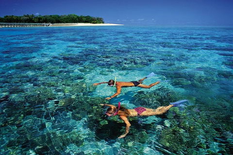 Green Island Day Trip From Cairns - Accommodation Bookings 5
