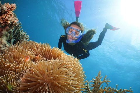 Quicksilver Outer Great Barrier Reef Snorkel Cruise From Port Douglas - Accommodation Bookings 2