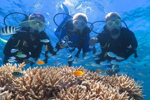 Quicksilver Outer Great Barrier Reef Snorkel Cruise From Port Douglas - Accommodation Bookings 4