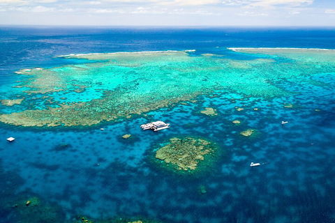 Quicksilver Outer Great Barrier Reef Snorkel Cruise From Port Douglas - Accommodation Bookings 5