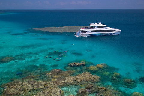 Silversonic Outer Great Barrier Reef Dive And Snorkel Cruise From Port Douglas - Accommodation Bookings 2