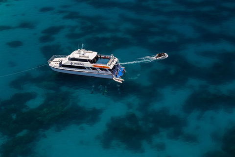 Quicksilver Dive 4 Day PADI Learn To Dive Course - Accommodation Bookings 1