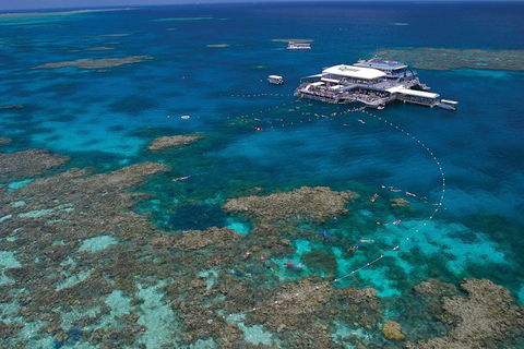 Ultimate 3-Day Great Barrier Reef Cruise Pass - Accommodation Bookings 3