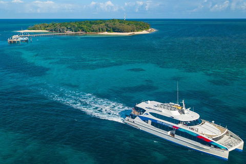 Ultimate 3-Day Great Barrier Reef Cruise Pass - Accommodation Bookings 4
