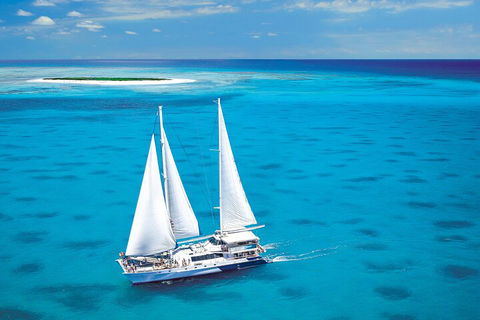 Ultimate 3-Day Great Barrier Reef Cruise Pass - Accommodation Bookings 5