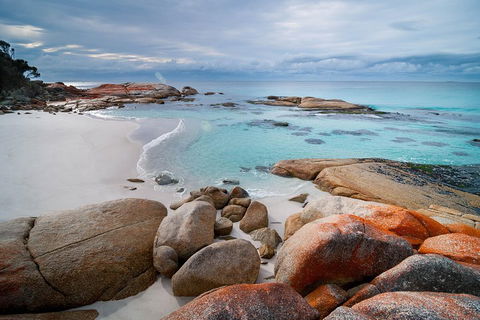 Wineglass Bay Private Charter Service - Accommodation Bookings 0