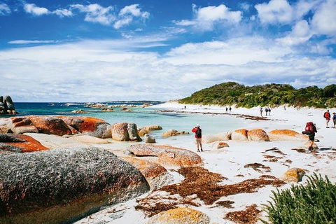 Wineglass Bay Private Charter Service - Accommodation Bookings 3