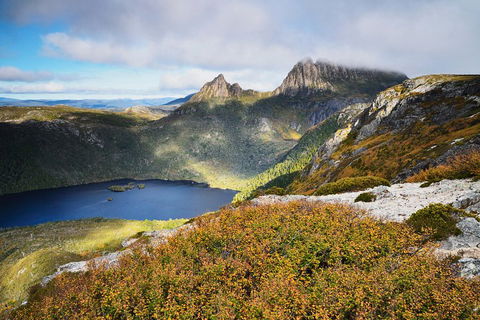 Cradle Mountain Private Charter Service - Accommodation Bookings 3