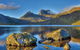 Cradle Mountain Private Charter Service - thumb 5