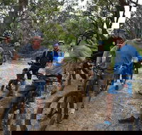 Fully guided E-Mountain Bike Tour on the beautiful Mornington Peninsula. - Accommodation Bookings
