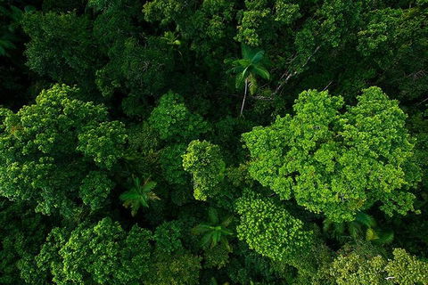 Cairns & Port Douglas All-Inclusive 7 Days Touring Package - Accommodation Bookings 4