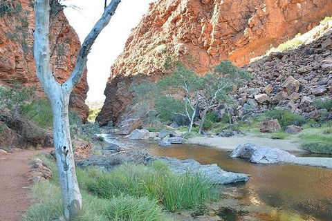 Alice Springs, Uluru Ayers Rock & Kings Canyon 8 Days Touring Package - Accommodation Bookings 2
