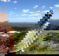 3 nights 2 full days private guided tour of the Sunshine Coast and Hinterland - Accommodation Bookings