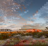 Uluru Kata Tjuta and Kings Canyon Camping Safari from Alice Springs - Accommodation Bookings