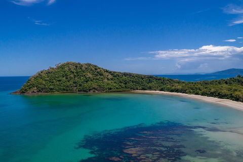 Daintree And Cape Tribulation Tour From Cairns - Accommodation Bookings 4