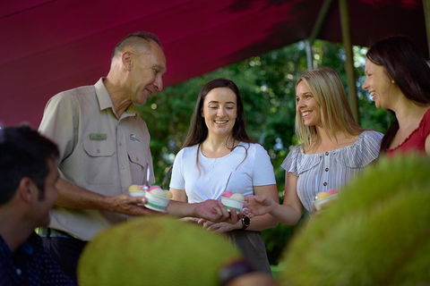 Daintree And Cape Tribulation Tour From Cairns - Accommodation Bookings 5