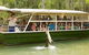 Hartley's Crocodile Adventure Half-Day Tour - thumb 0