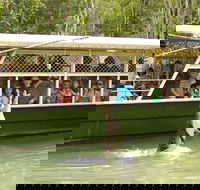 Hartley's Crocodile Adventure Half-Day Tour - Accommodation Bookings