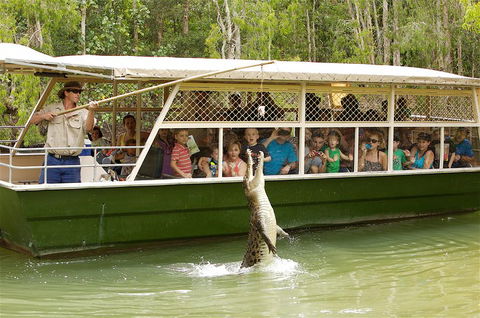 Hartley's Crocodile Adventure Half-Day Tour - Accommodation Bookings 0