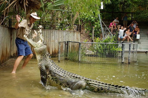 Hartley's Crocodile Adventure Half-Day Tour - Accommodation Bookings 2