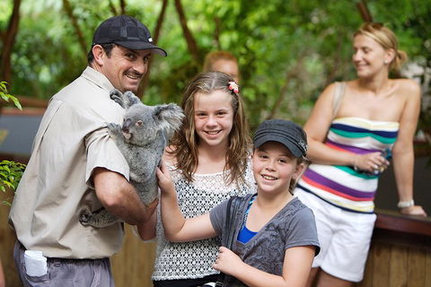 Hartley's Crocodile Adventure Half-Day Tour - Accommodation Bookings 3