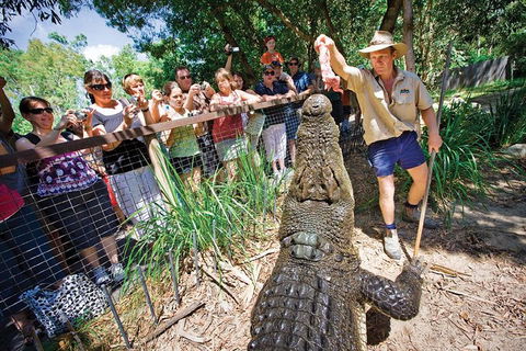 Hartley's Crocodile Adventure Half-Day Tour - Accommodation Bookings 4