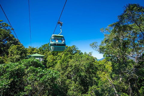 Skyrail Rainforest Cableway Day Trip From Cairns - Accommodation Bookings 1