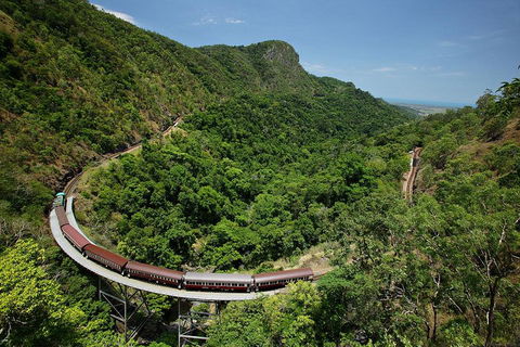 Skyrail Rainforest Cableway Day Trip From Cairns - Accommodation Bookings 5