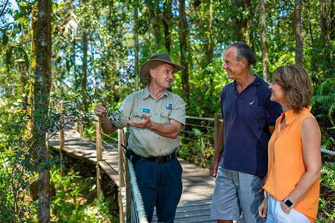 Kuranda Scenic Railway Day Trip From Cairns - Accommodation Bookings 1