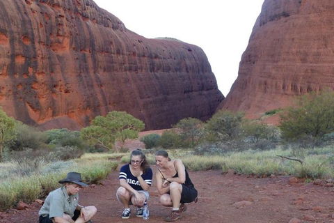 5-Hour Kata Tjuta Sunrise Tour From Ayers Rock With Breakfast - Accommodation Bookings 0