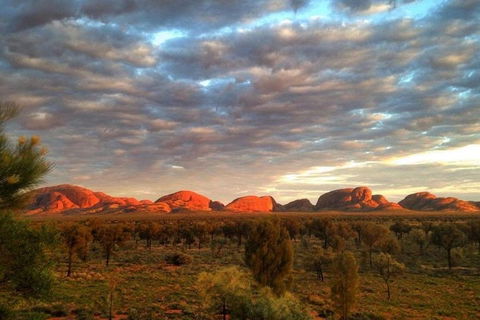 5-Hour Kata Tjuta Sunrise Tour From Ayers Rock With Breakfast - Accommodation Bookings 1