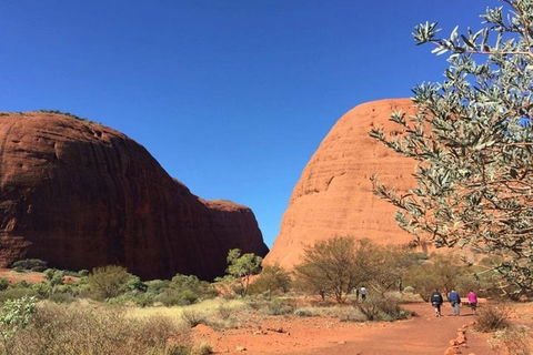 5-Hour Kata Tjuta Sunrise Tour From Ayers Rock With Breakfast - Accommodation Bookings 4