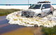 Full-Day Moreton Island 4x4 Sightseeing Tour - thumb 0
