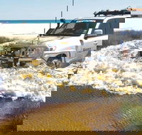 Full-Day Moreton Island 4x4 Sightseeing Tour - Accommodation Bookings