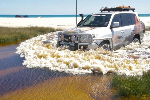 Full-Day Moreton Island 4x4 Sightseeing Tour - Accommodation Bookings 0