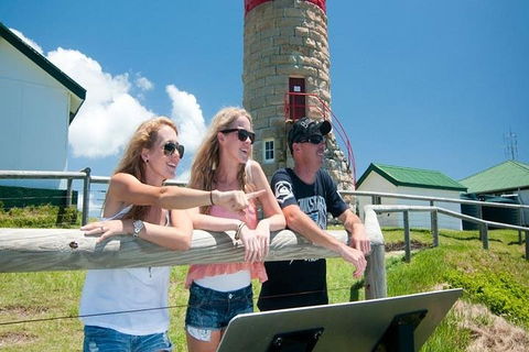 Full-Day Moreton Island 4x4 Sightseeing Tour - Accommodation Bookings 3