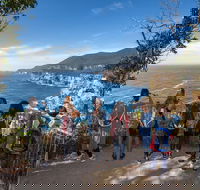 Historic Port Arthur Day Trip from Hobart Including Cliff-Top Walk to Waterfall Bay - Accommodation Bookings