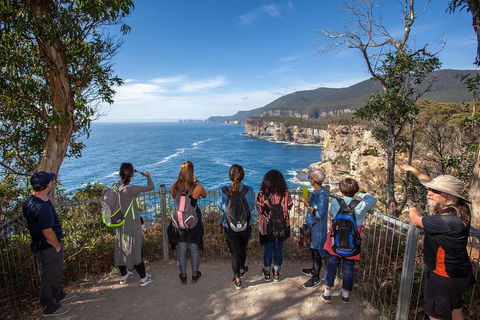 Historic Port Arthur Day Trip From Hobart Including Cliff-Top Walk To Waterfall Bay - Accommodation Bookings 0