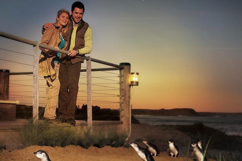 The Ultimate Melbourne Attractions Pass - Accommodation Bookings 3