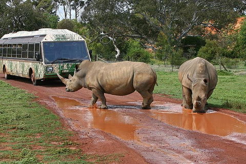 The Ultimate Melbourne Attractions Pass - Accommodation Bookings 4