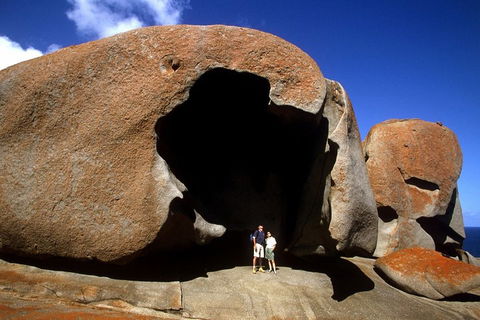 Full-Day Kangaroo Island Safari From Penneshaw - Accommodation Bookings 0