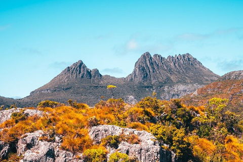 Cradle Mountain National Park Day Tour From Launceston - Accommodation Bookings 1