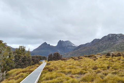 Cradle Mountain National Park Day Tour From Launceston - Accommodation Bookings 2