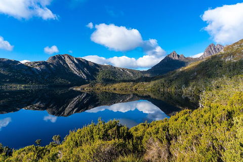 Cradle Mountain National Park Day Tour From Launceston - Accommodation Bookings 3