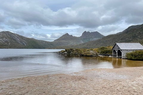 Cradle Mountain National Park Day Tour From Launceston - Accommodation Bookings 4