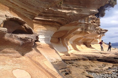 Hobart Minibus Full-Day Private Tour - Accommodation Bookings 0