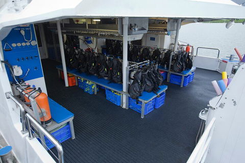 Silverswift Outer Great Barrier Reef Dive And Snorkel Cruise From Cairns - Accommodation Bookings 0