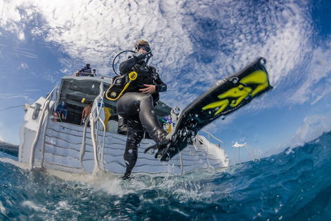 Silverswift Outer Great Barrier Reef Dive And Snorkel Cruise From Cairns - Accommodation Bookings 1